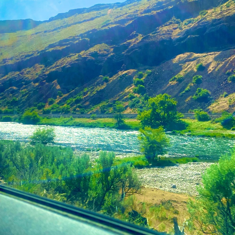 Meet your Posher, Kyoko